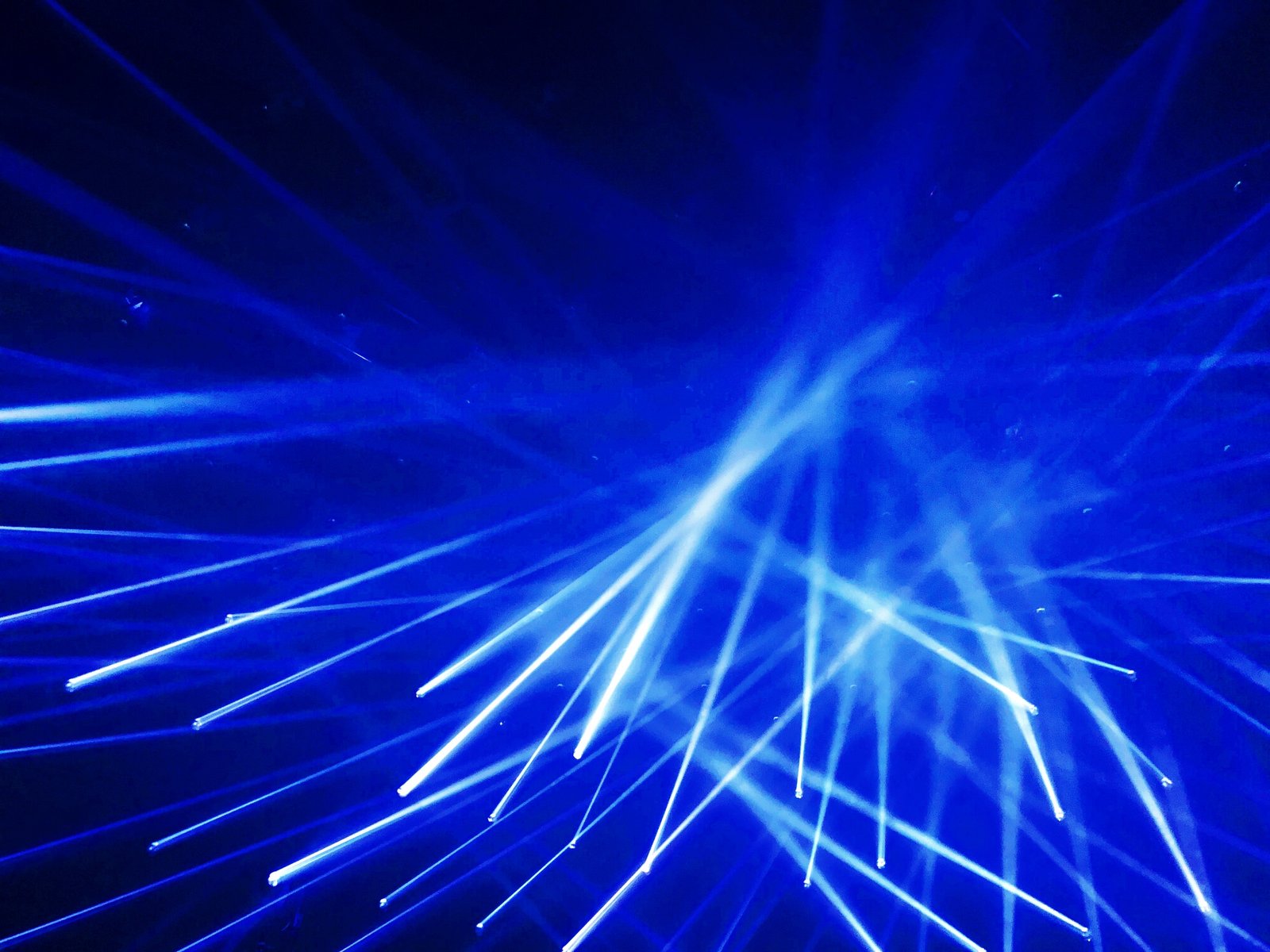 Blue laser light - Light gardens